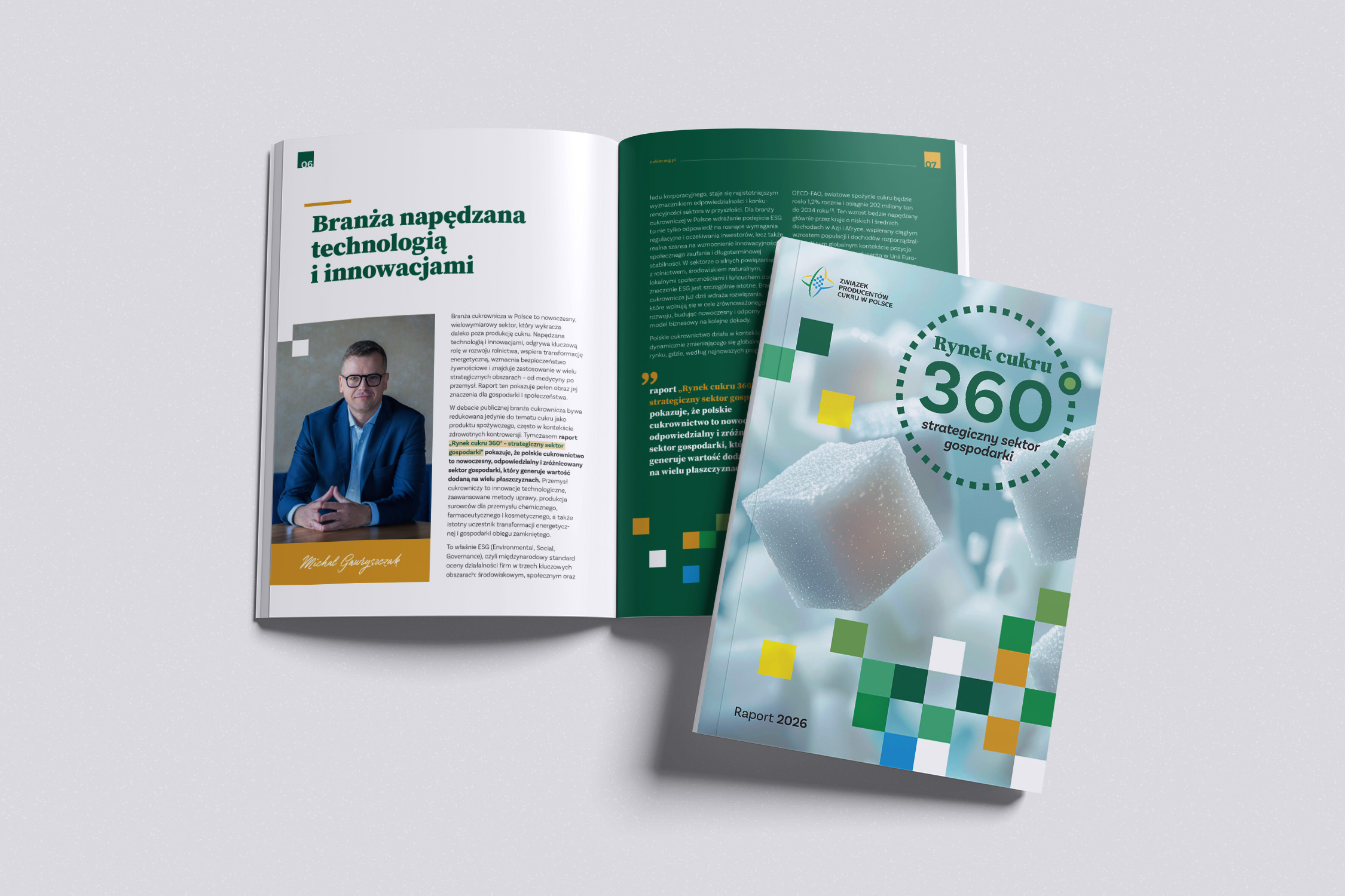 Przykładowe strony z raportu Rynek cukru 360 stopni